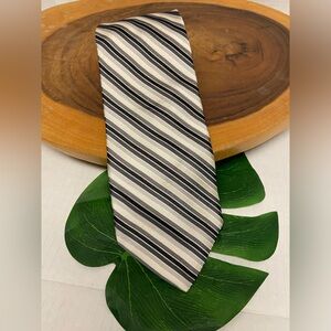 Ted Baker Striped Imported Handmade Silk Tie